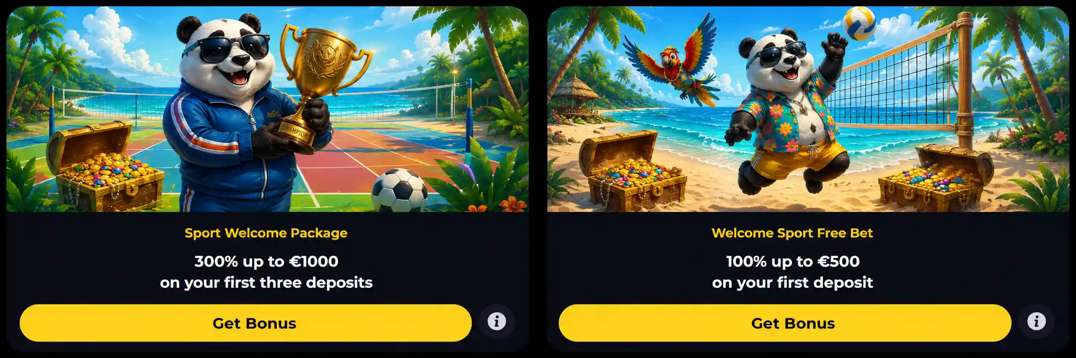 winrushgo casino bonus sport